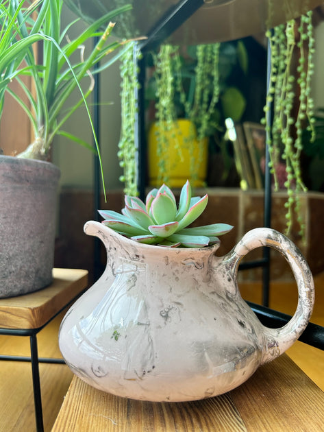 Snazzy Painted Planter Pots